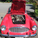 Illustration for article titled Austin Healey Dump